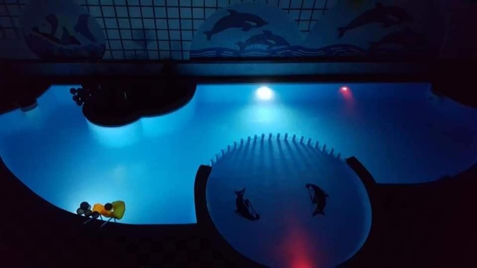 apartman Ivana Hurghada Buitenkant foto